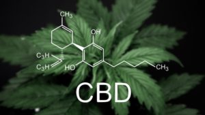 CBD